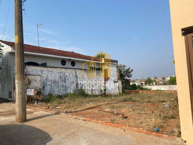 Terreno para Venda em Catanduva - 4