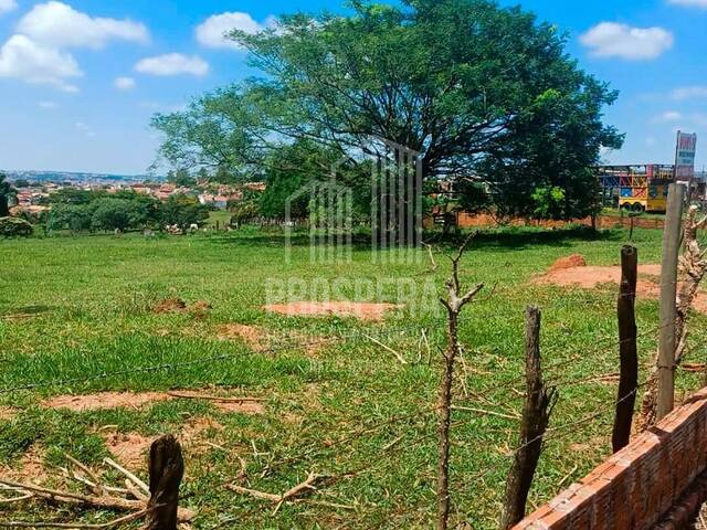 #119 - Terreno para Venda em Catanduva - SP - 3
