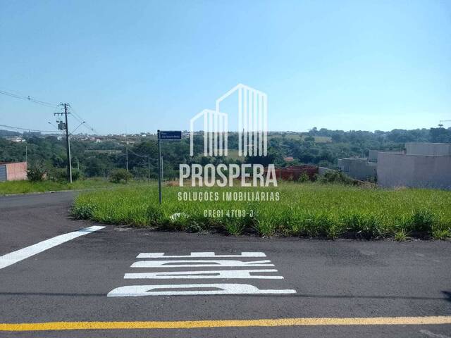 #165 - Terreno para Venda em Catanduva - SP - 3