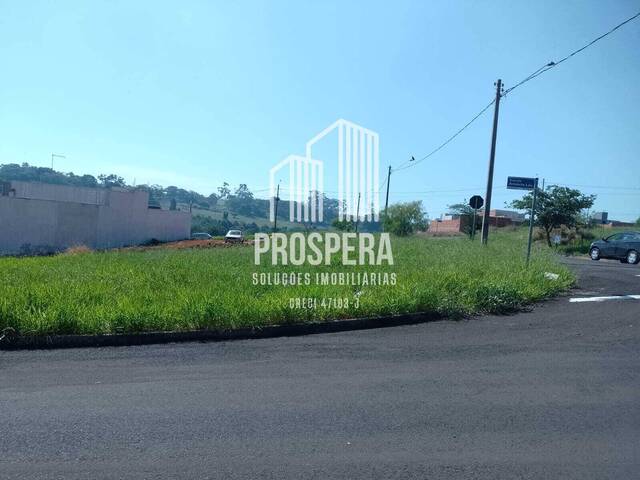 #165 - Terreno para Venda em Catanduva - SP - 2