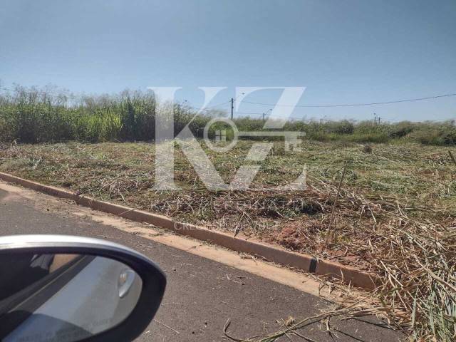 #208 - Área para Venda em São José do Rio Preto - SP - 2