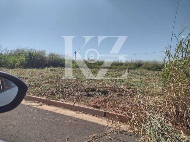 #208 - Área para Venda em São José do Rio Preto - SP - 3