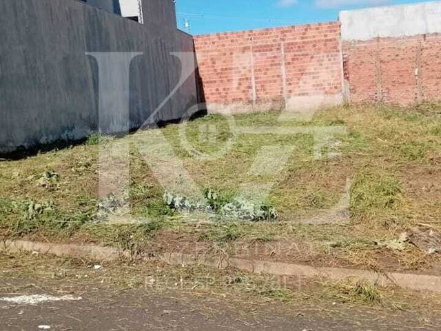 #250 - Área para Venda em Catanduva - SP - 2